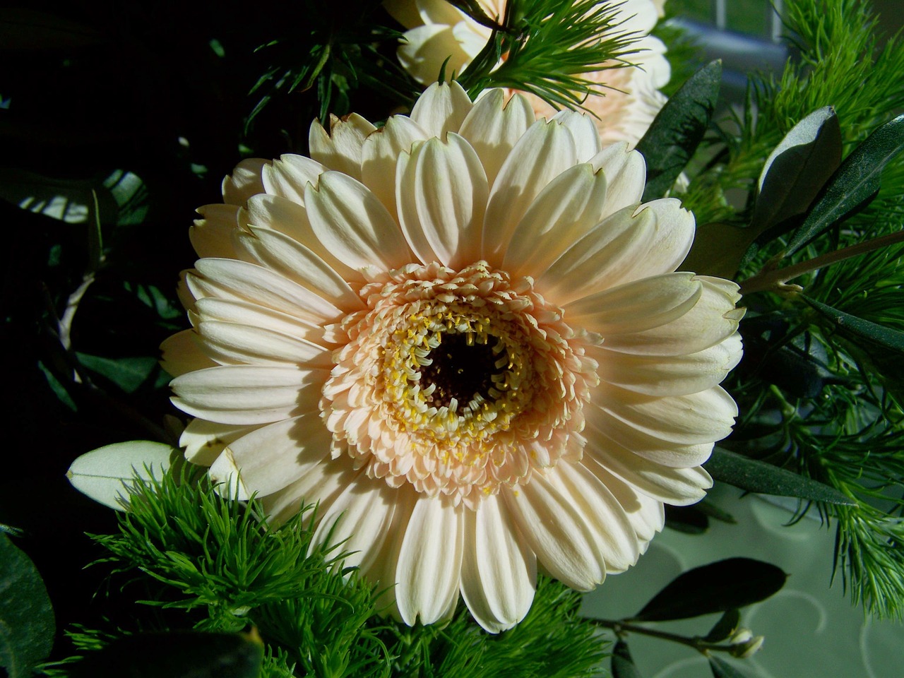 bunch of flowers gerbera cut flower free photo