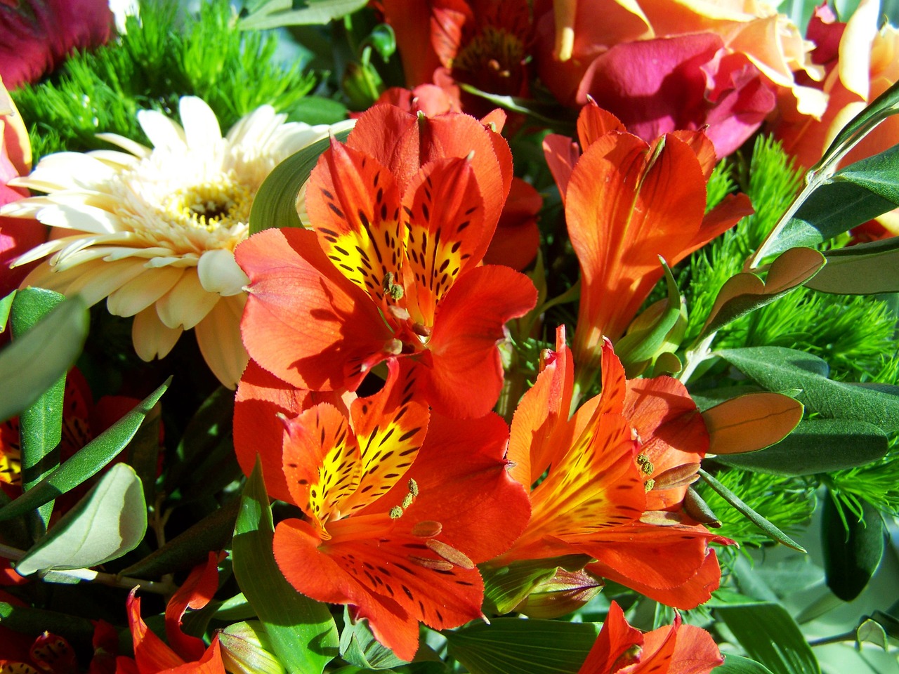 bunch of flowers color cut flower free photo