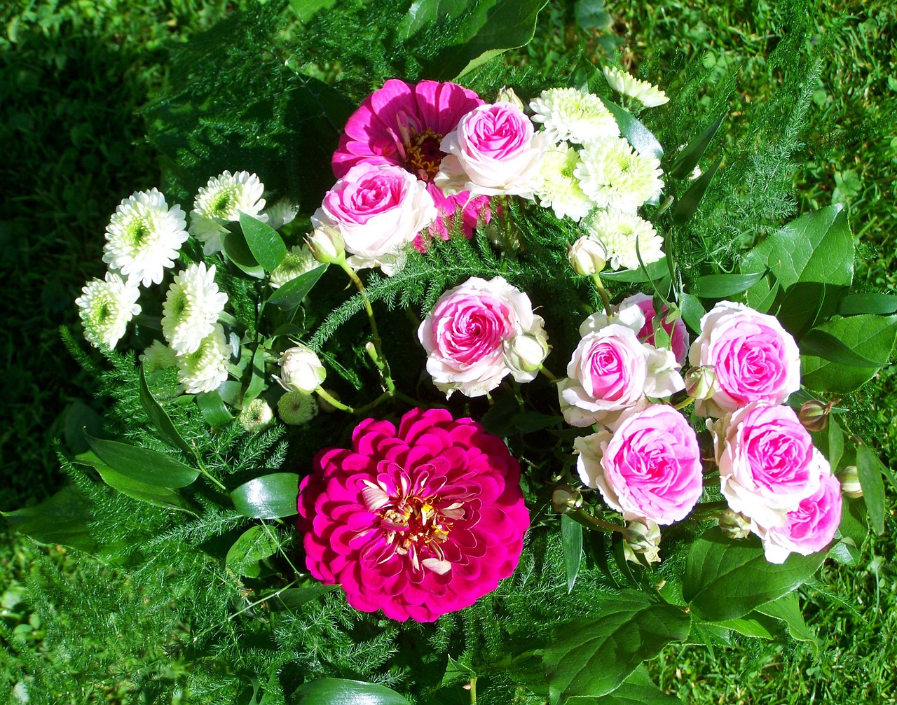 bunch of flowers pink and white flowers cut flower free photo