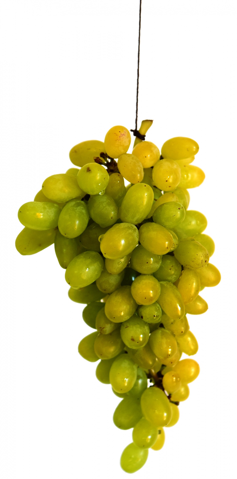 grapes fruit green free photo