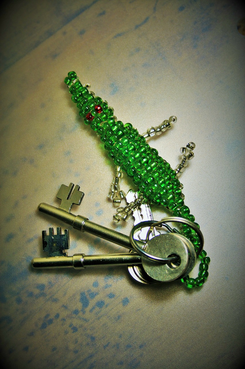 bunch of keys key ring keys free photo