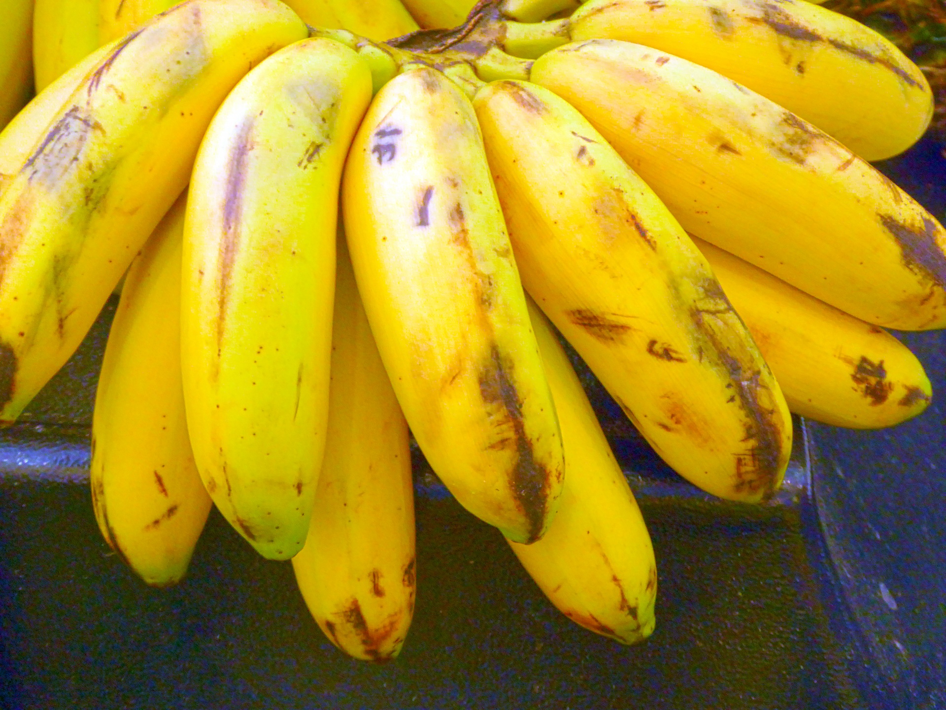 plantains banana bananas free photo