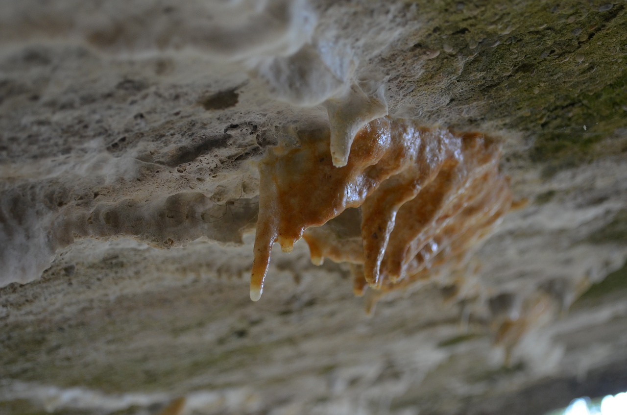 stalactites stone grey free photo