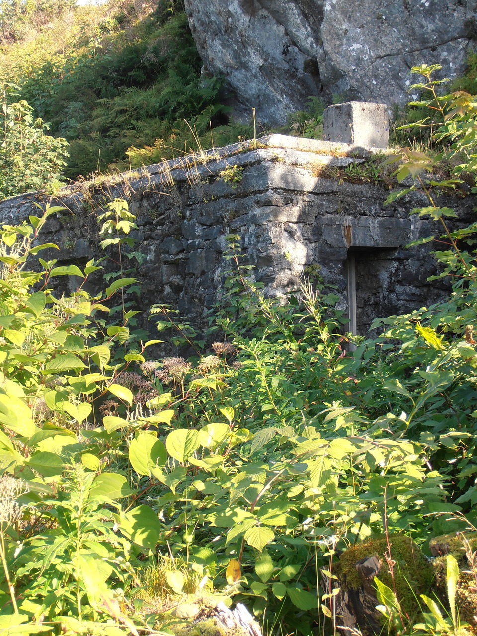 bunker war historic free photo