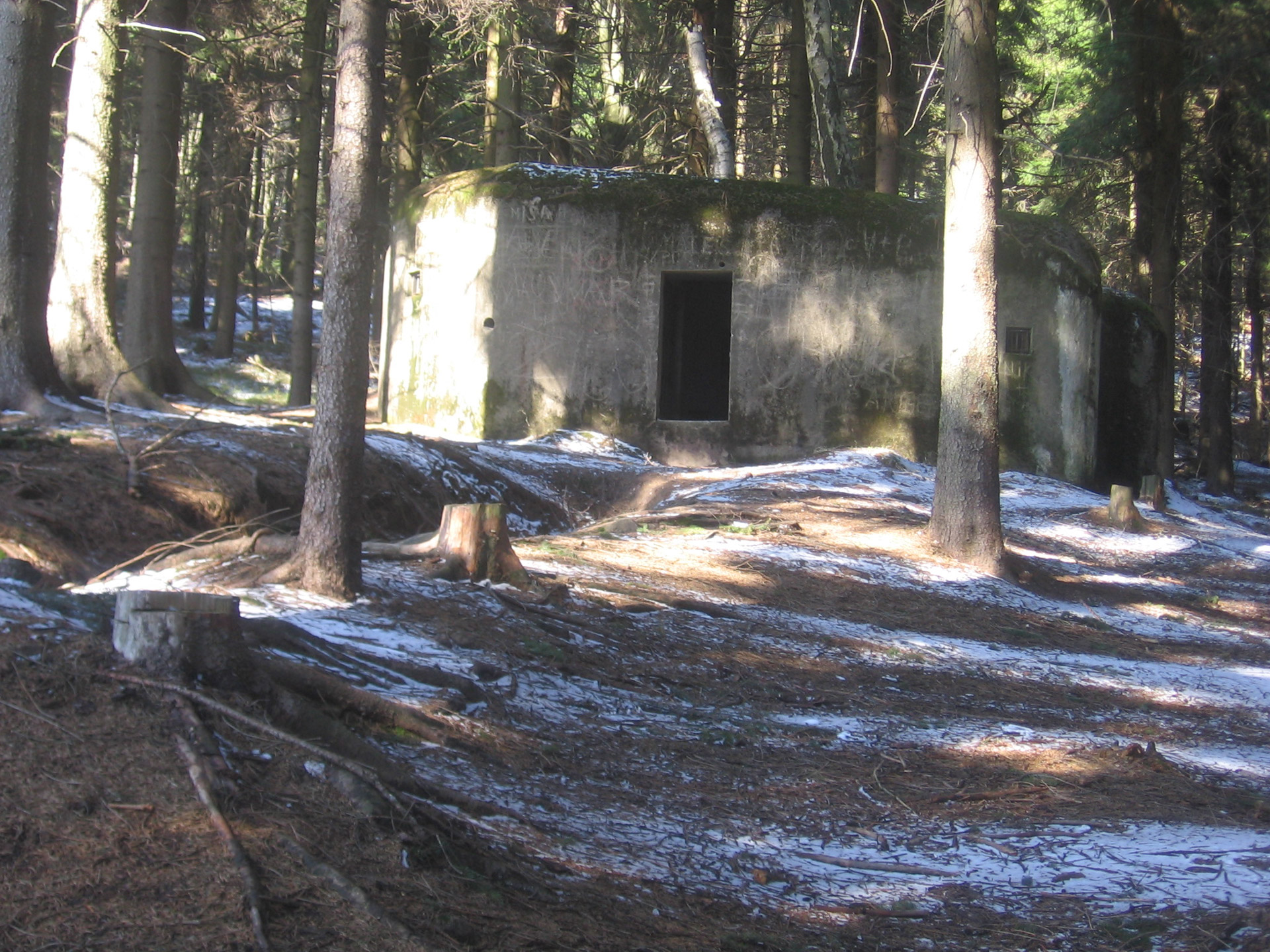 bunker forest frontier free photo