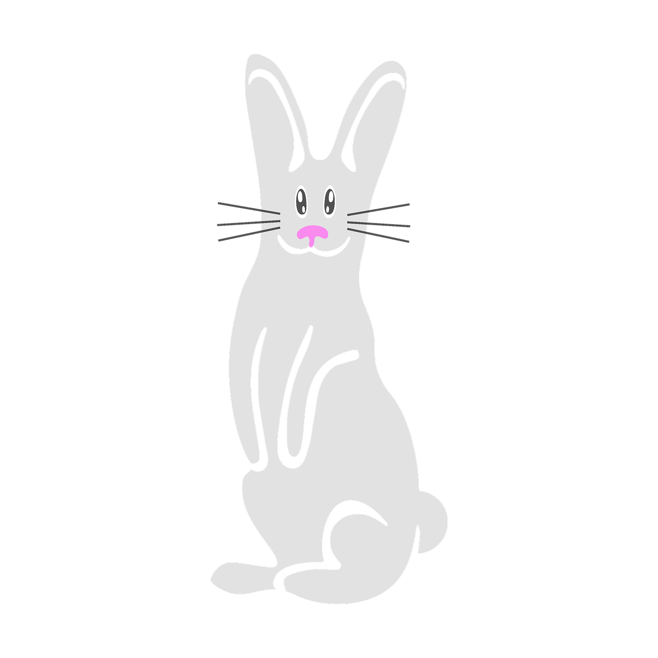 bunny rabbit white free photo