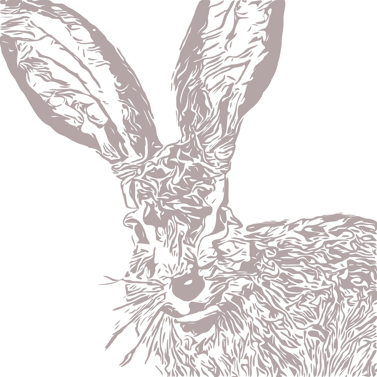 bunny  rabbit  drawing free photo