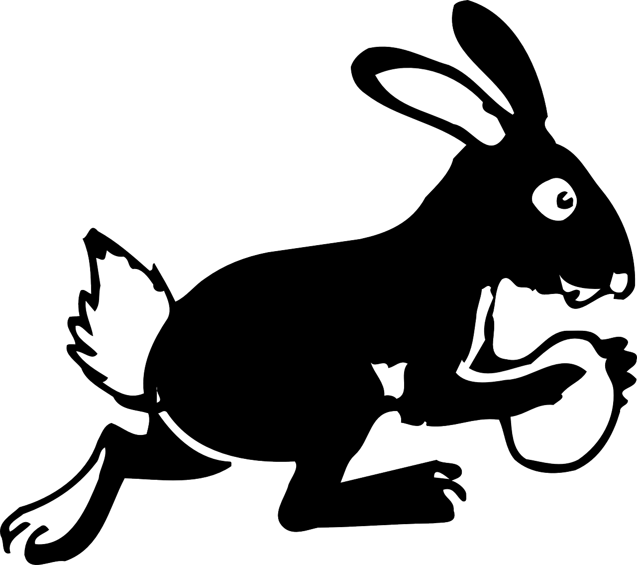 bunny egg running free photo
