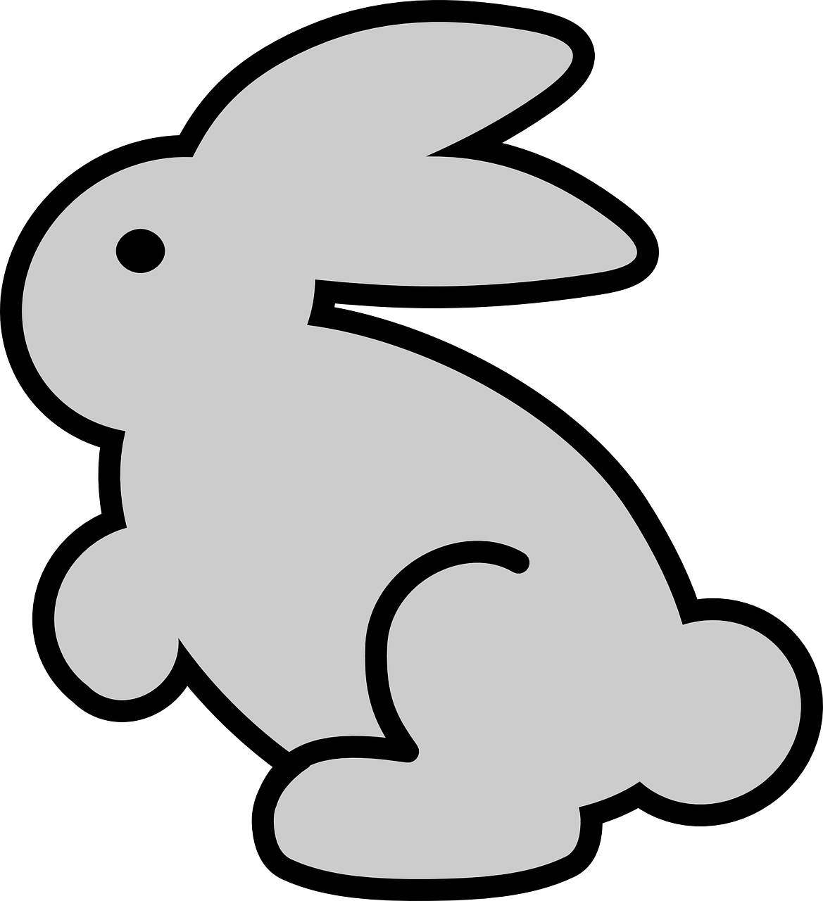 bunny rabbit hare free photo
