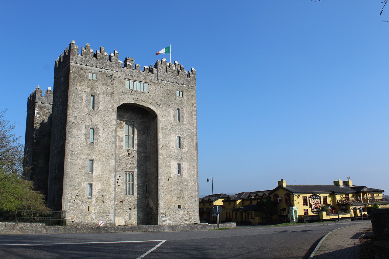 bunratty  nellies  blue free photo