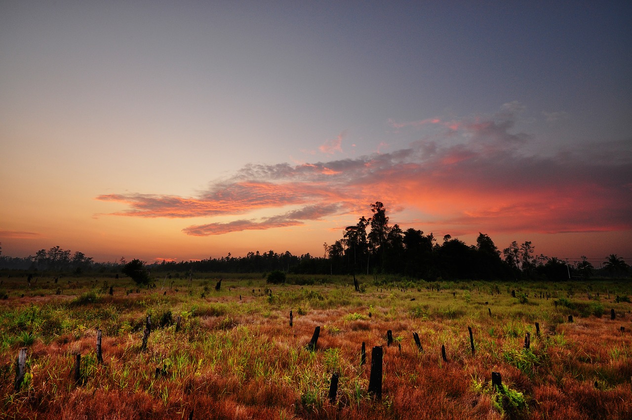 buntok kalimantan indonesia free photo