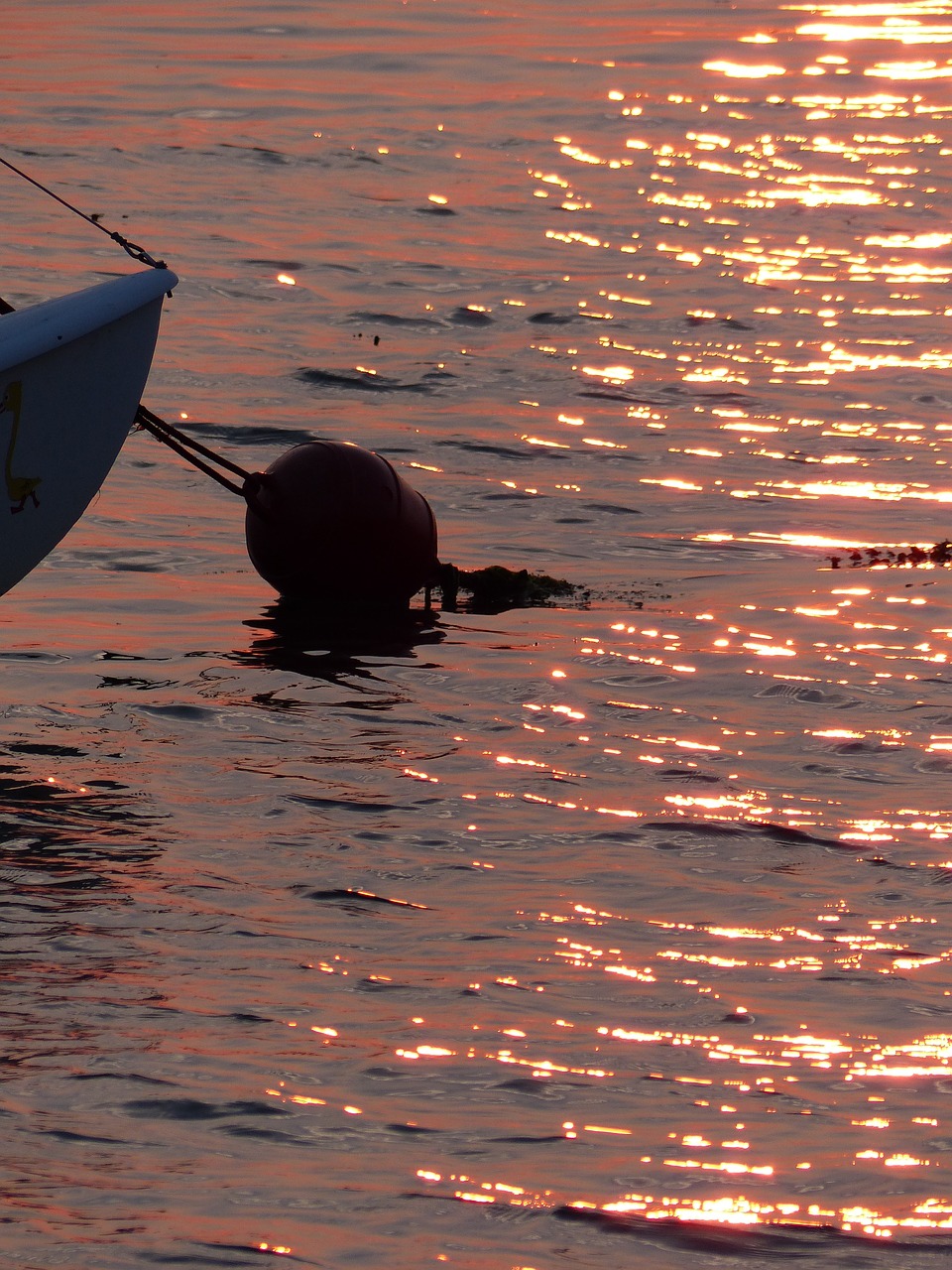 buoy evening sea free photo