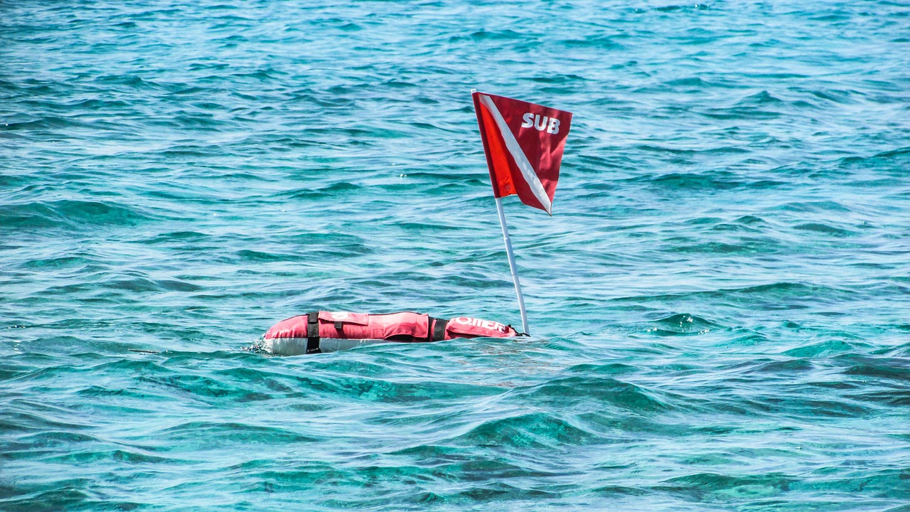 buoy flag red free photo