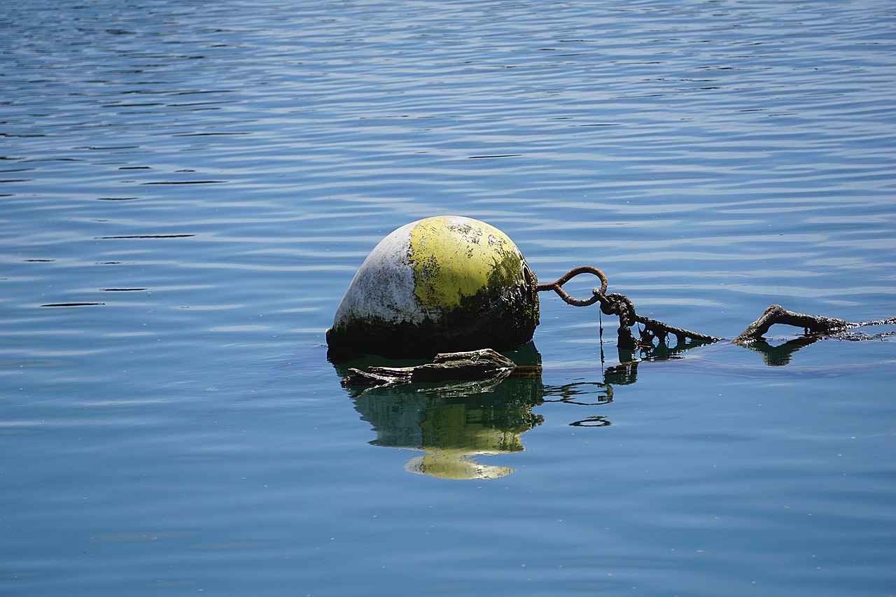 buoy beacon water free photo