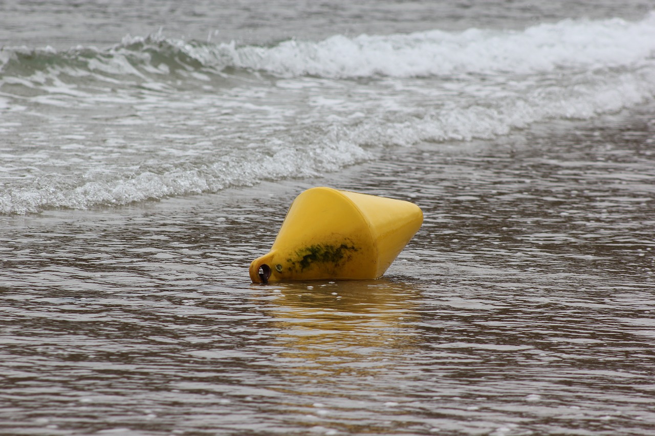 buoy sand sea free photo