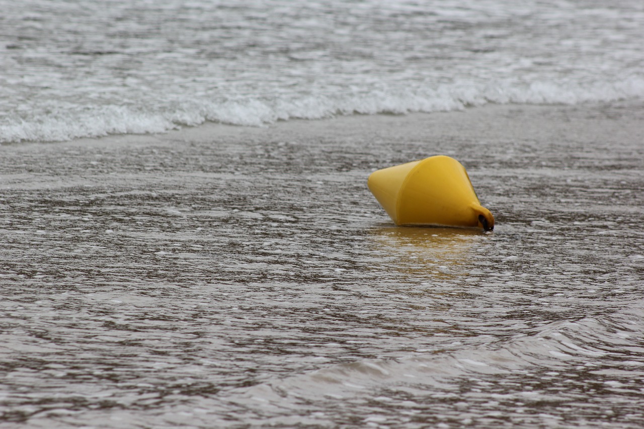 buoy sand sea free photo