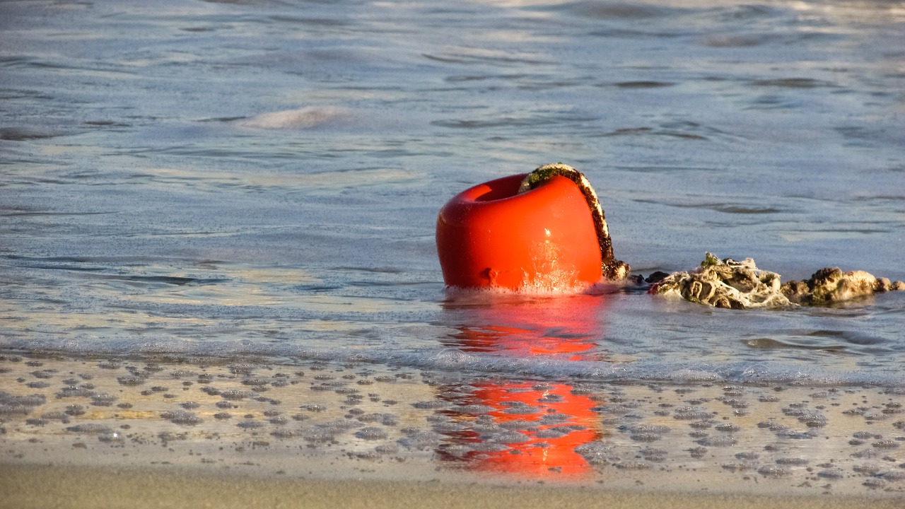 buoy orange sea free photo