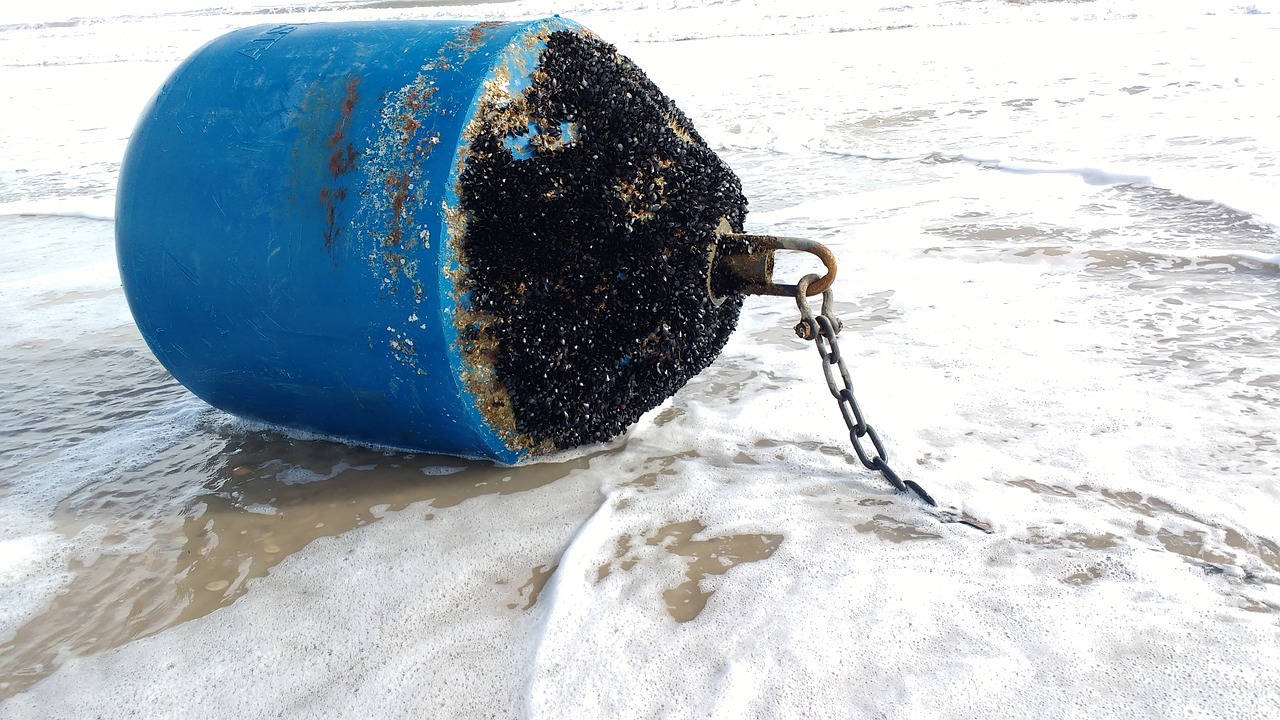 buoy beacon sea free photo