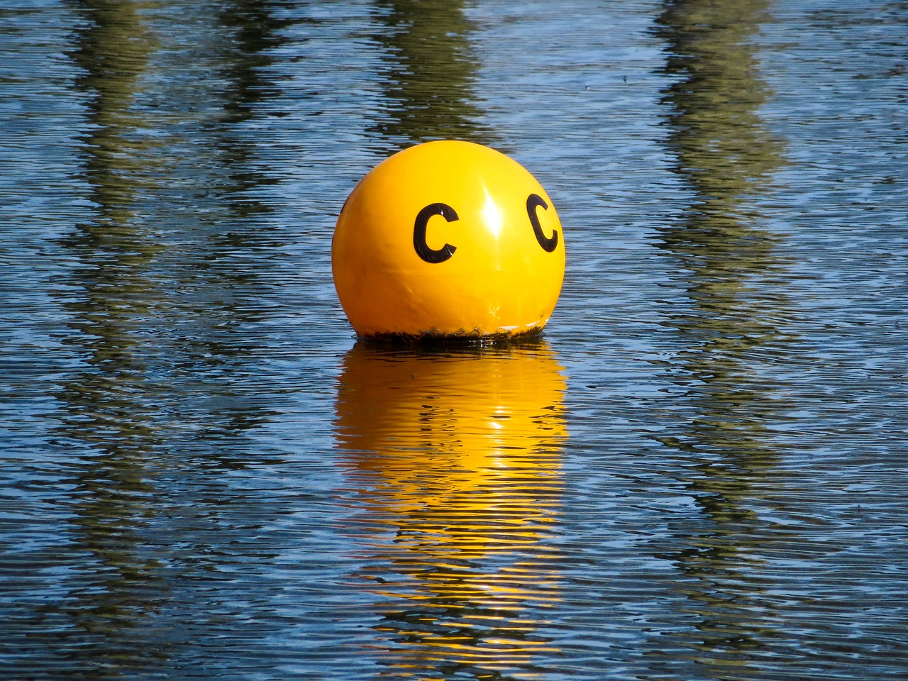 buoy float water free photo