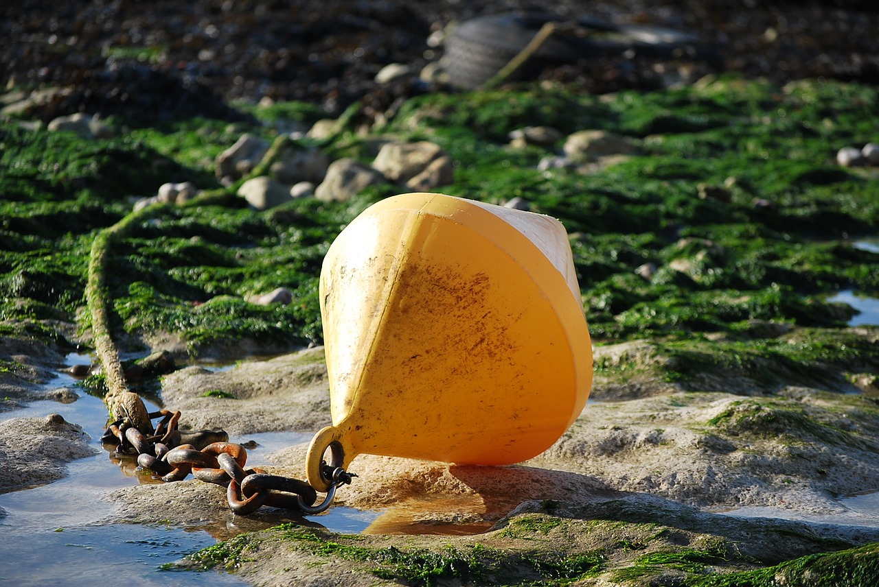 buoy yellow coast free photo