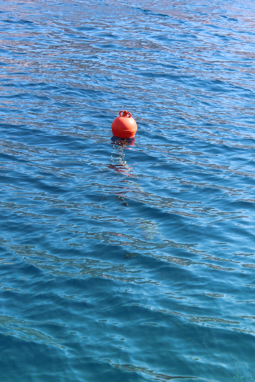buoy sea water free photo