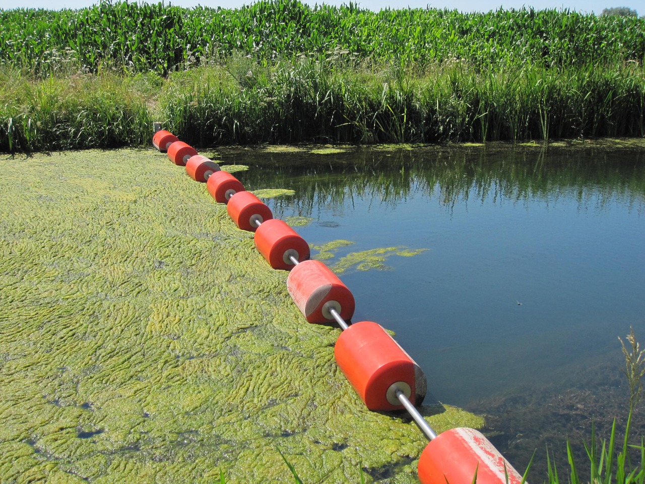 buoy lverstopt river free photo