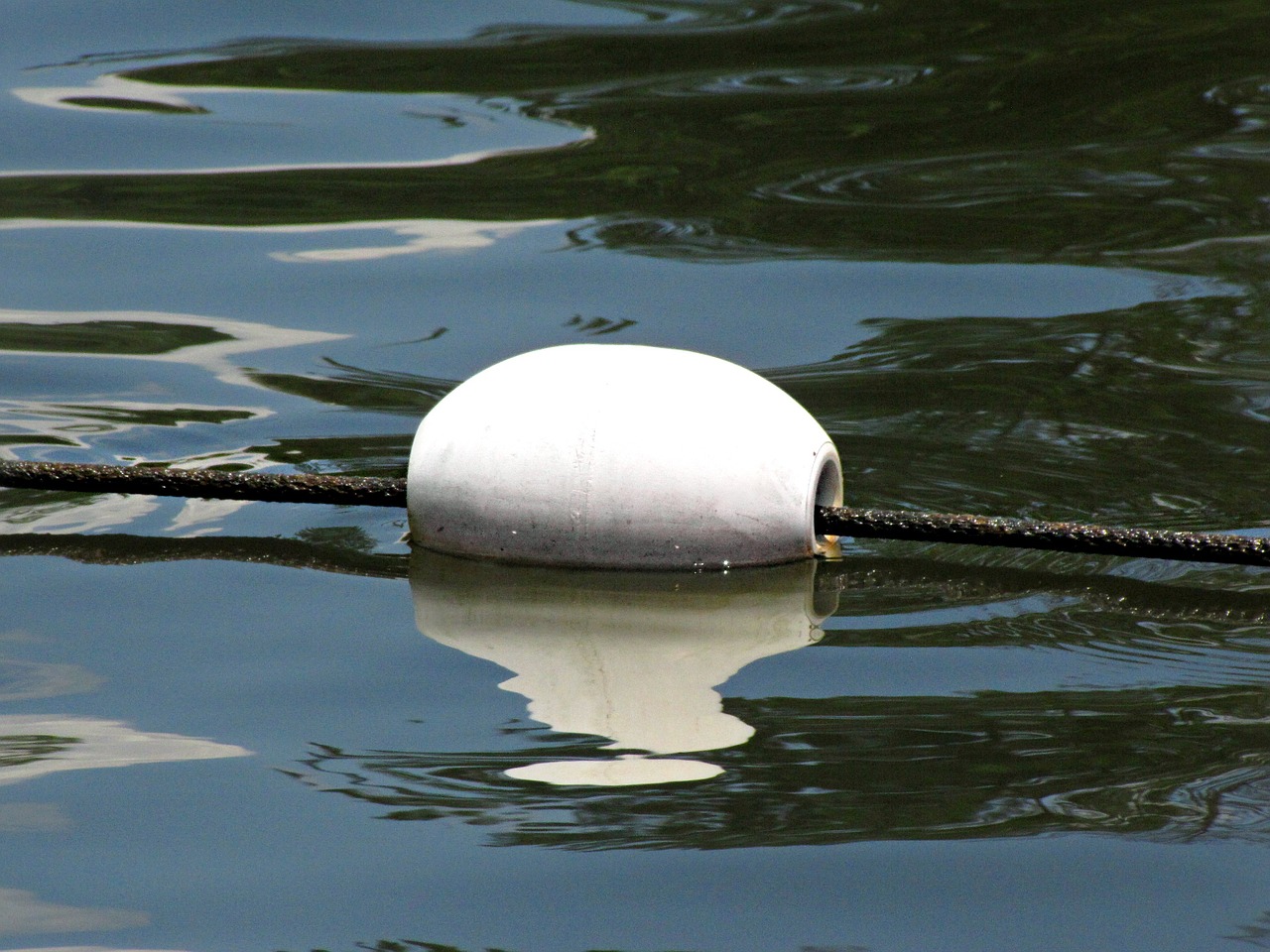 buoy surface marker buoy floater free photo