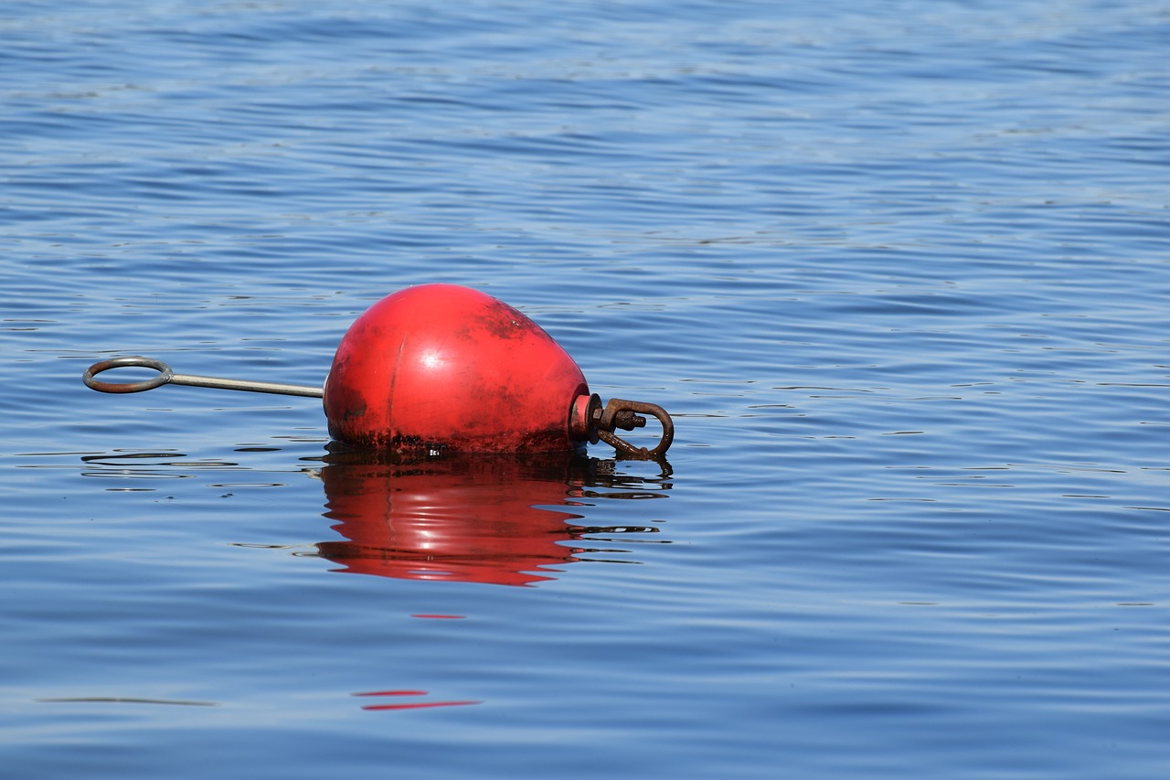 buoy  perazzo  water free photo