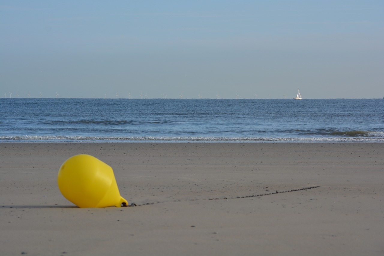 buoy sea beach free photo