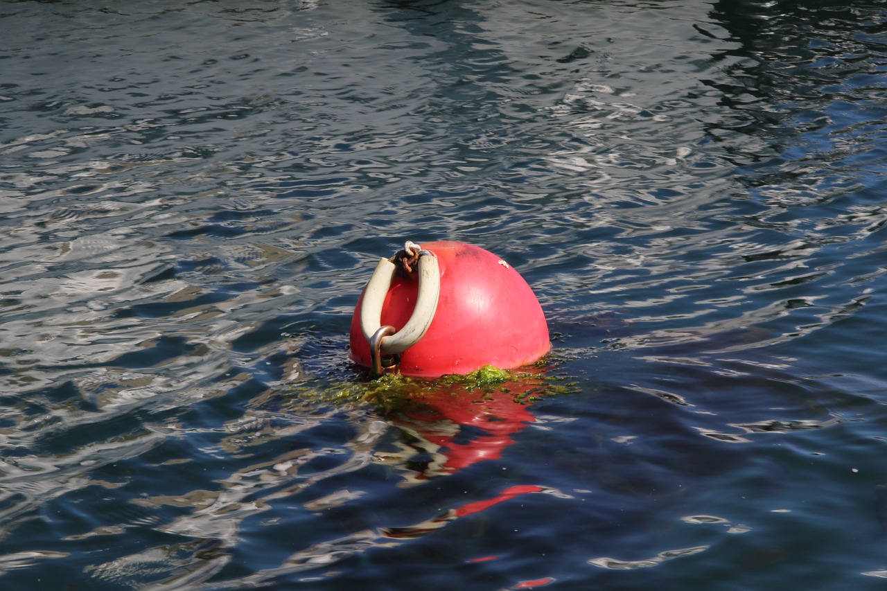 buoy sea fishing free photo