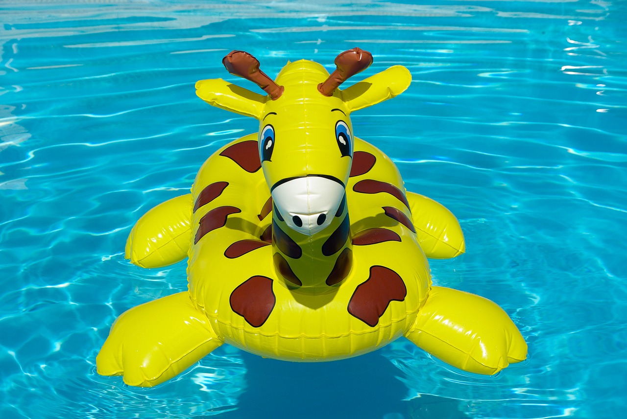 buoy swimming pool giraffe free photo
