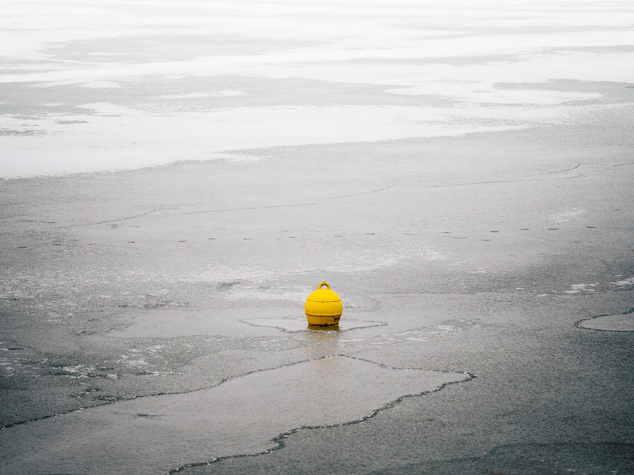buoy yellow lake free photo