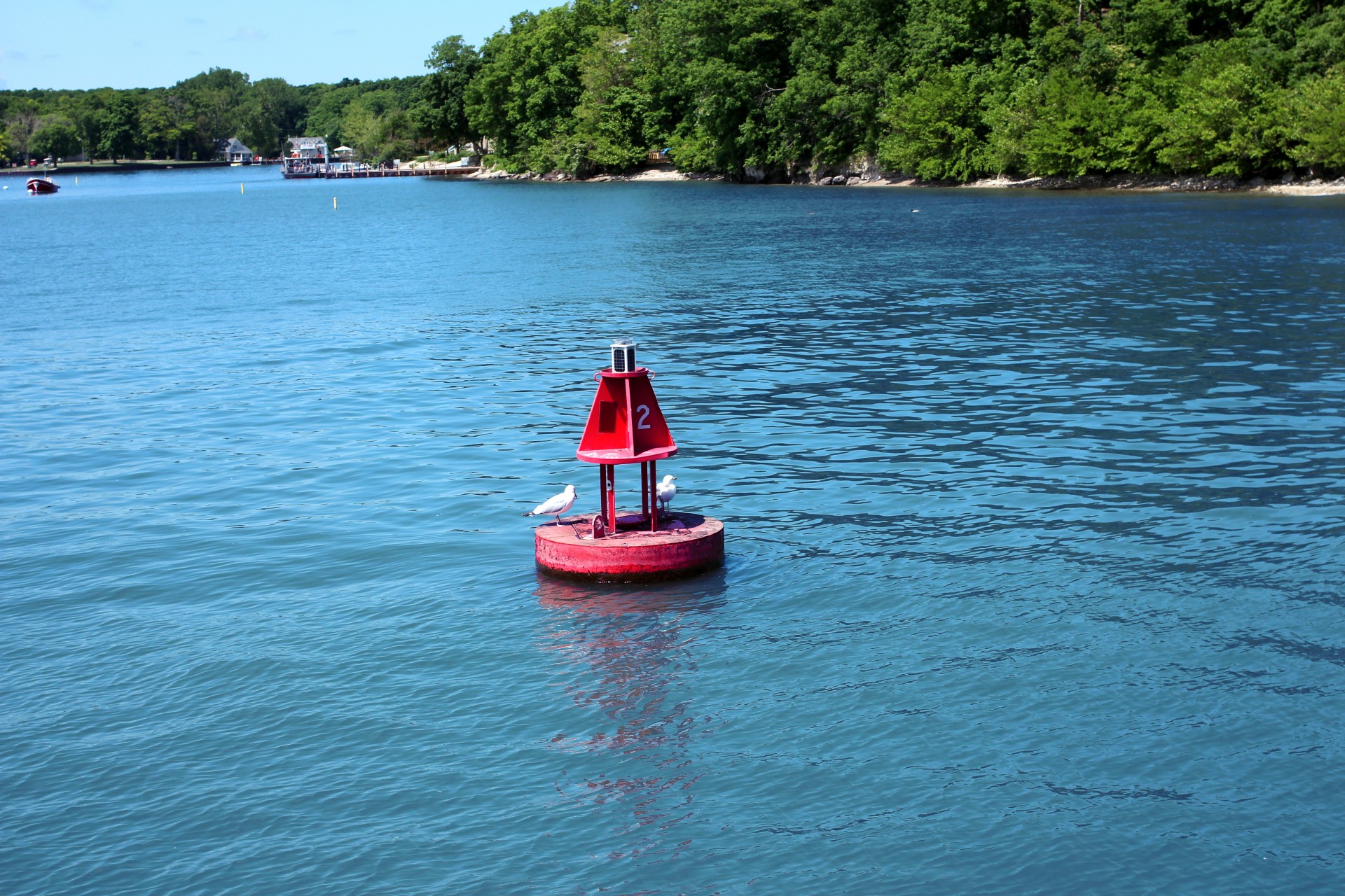buoy island float free photo