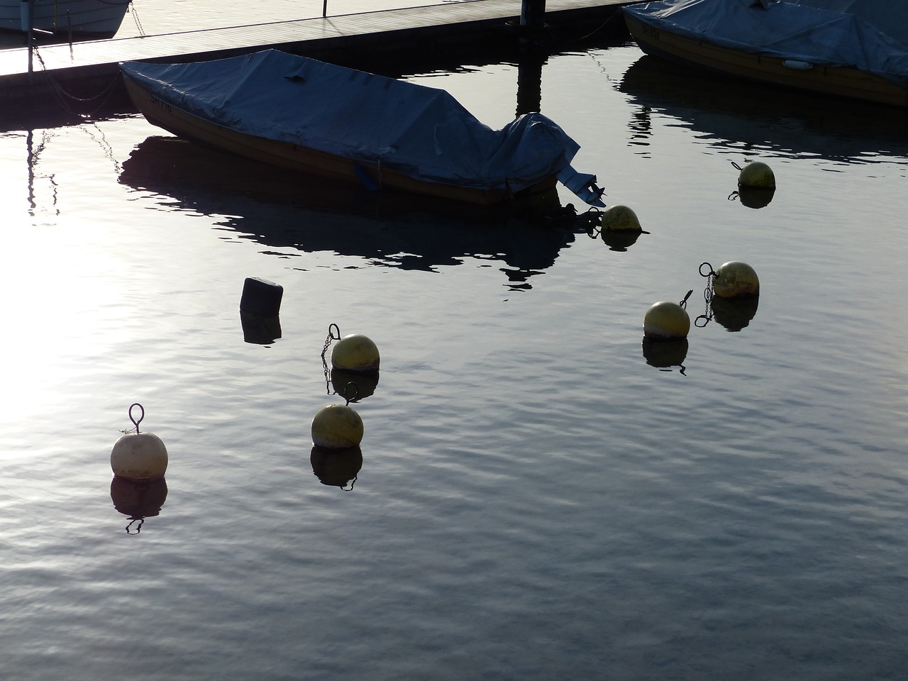 buoys river boats free photo