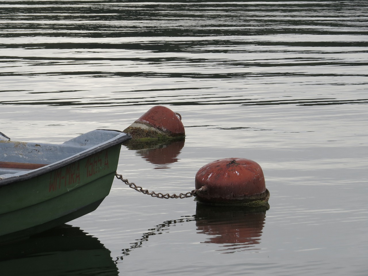 buoys boat haven free photo