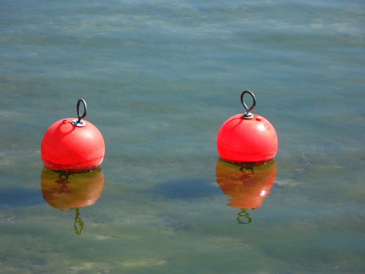 buoys pier port free photo