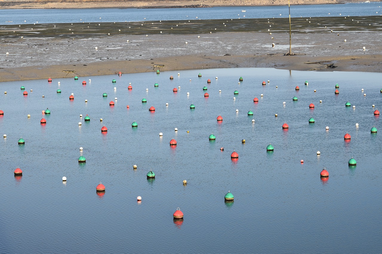 buoys mooring  port dinard  sea free photo