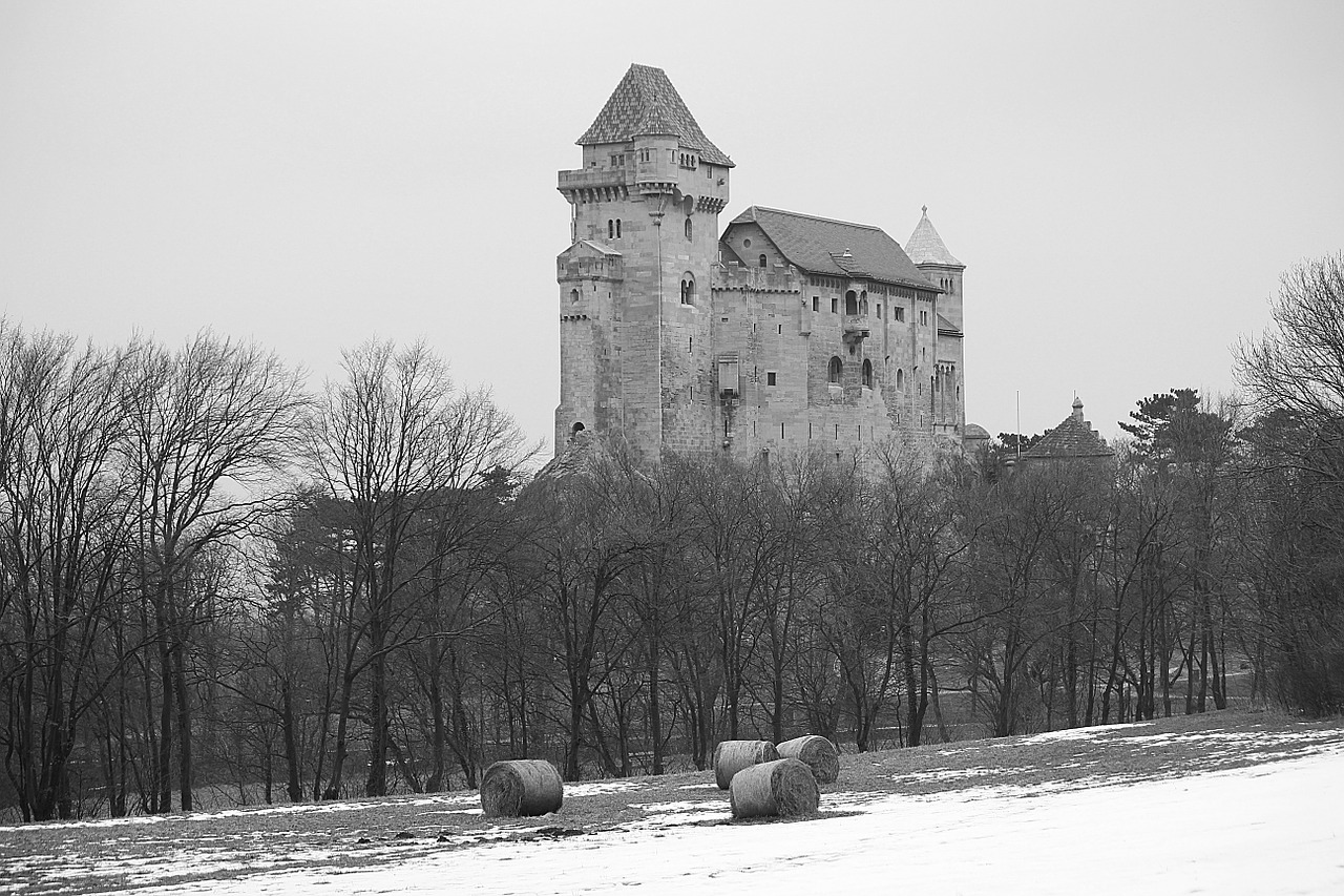 burg lichtenstein castle lichtenstein free photo