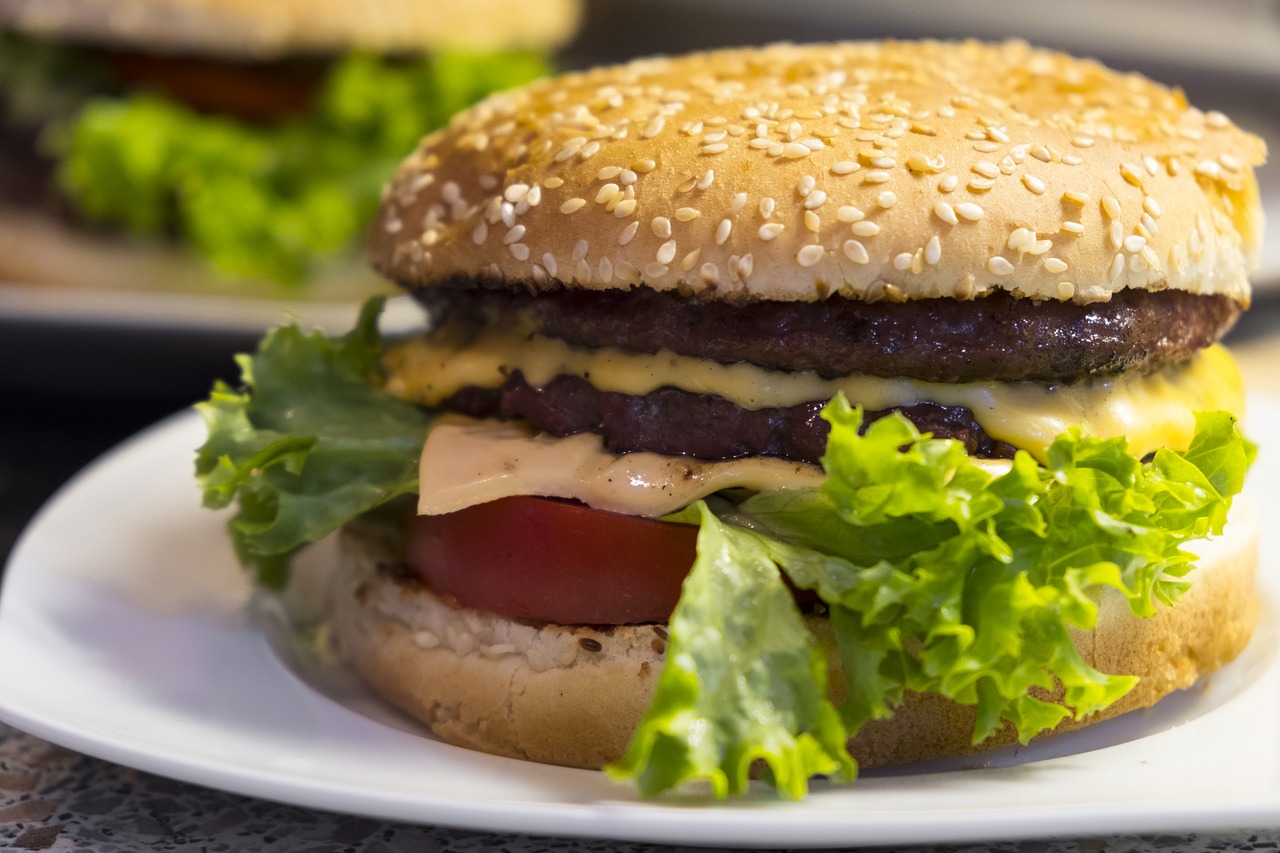 burger hamburger cheeseburger free photo