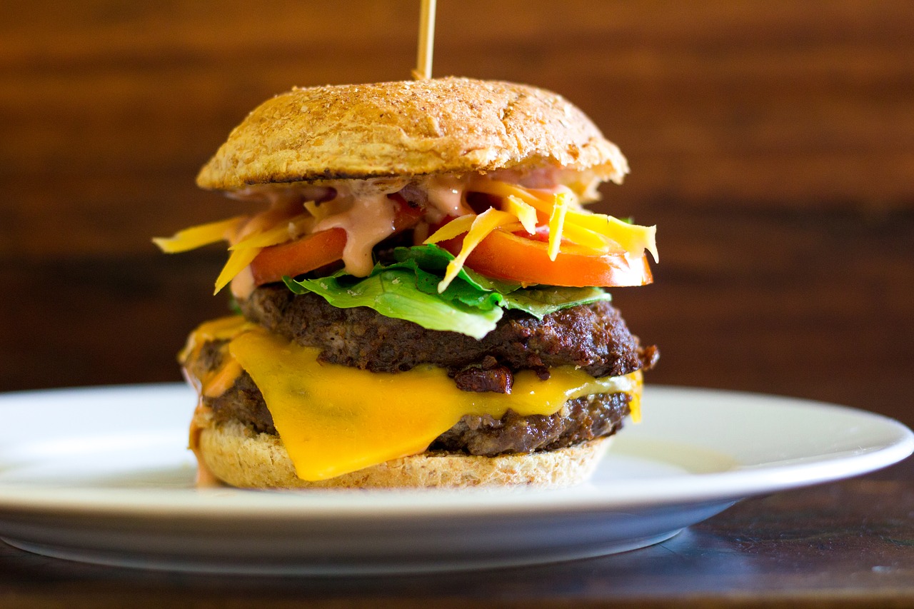 burger  food  plate free photo