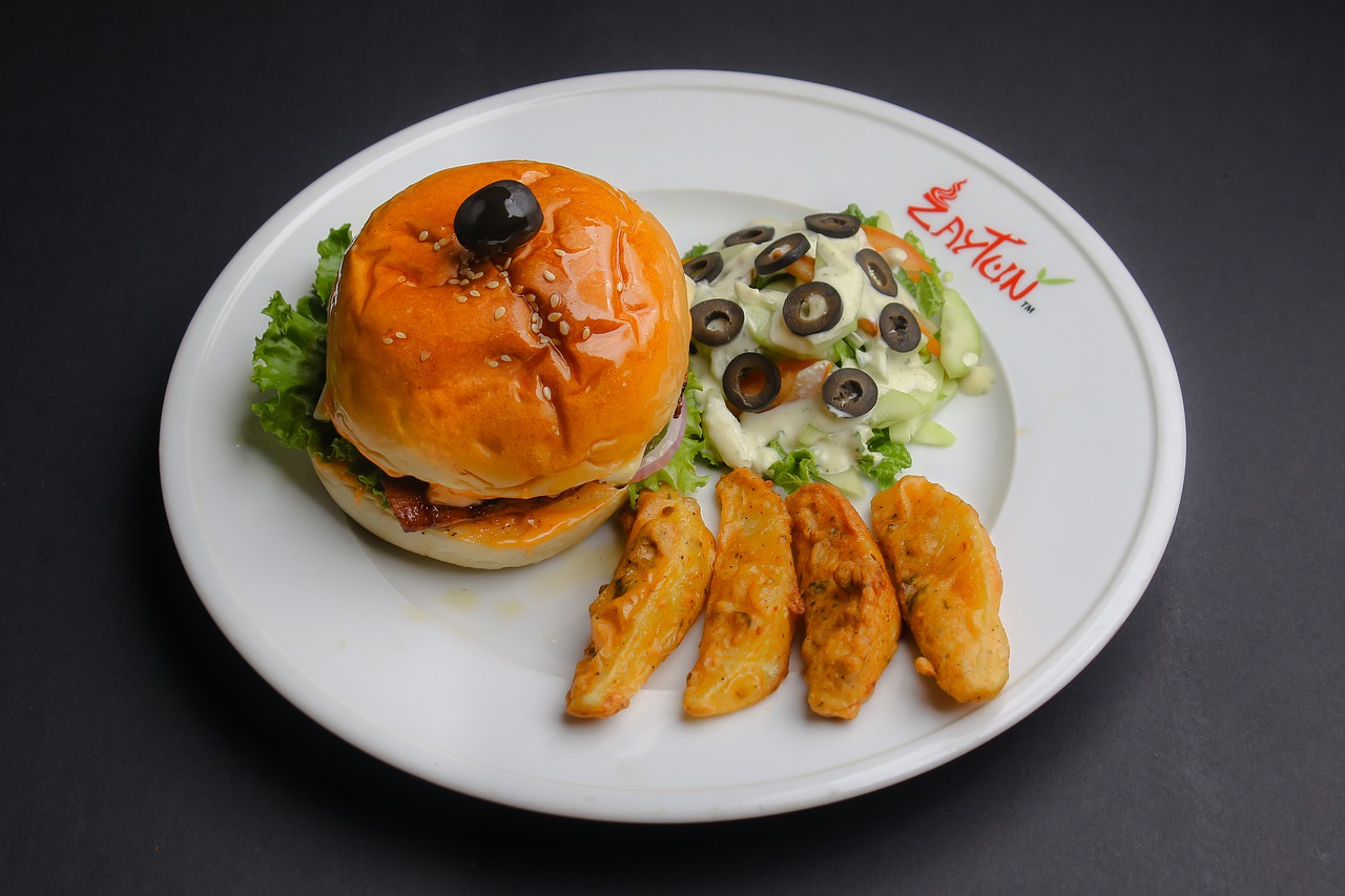 burger  spicy  healthy free photo