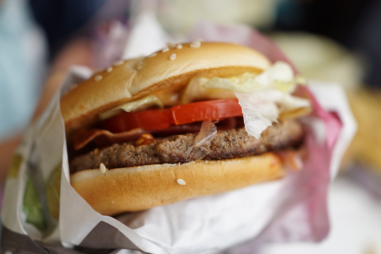 burger delicious food lunch free photo