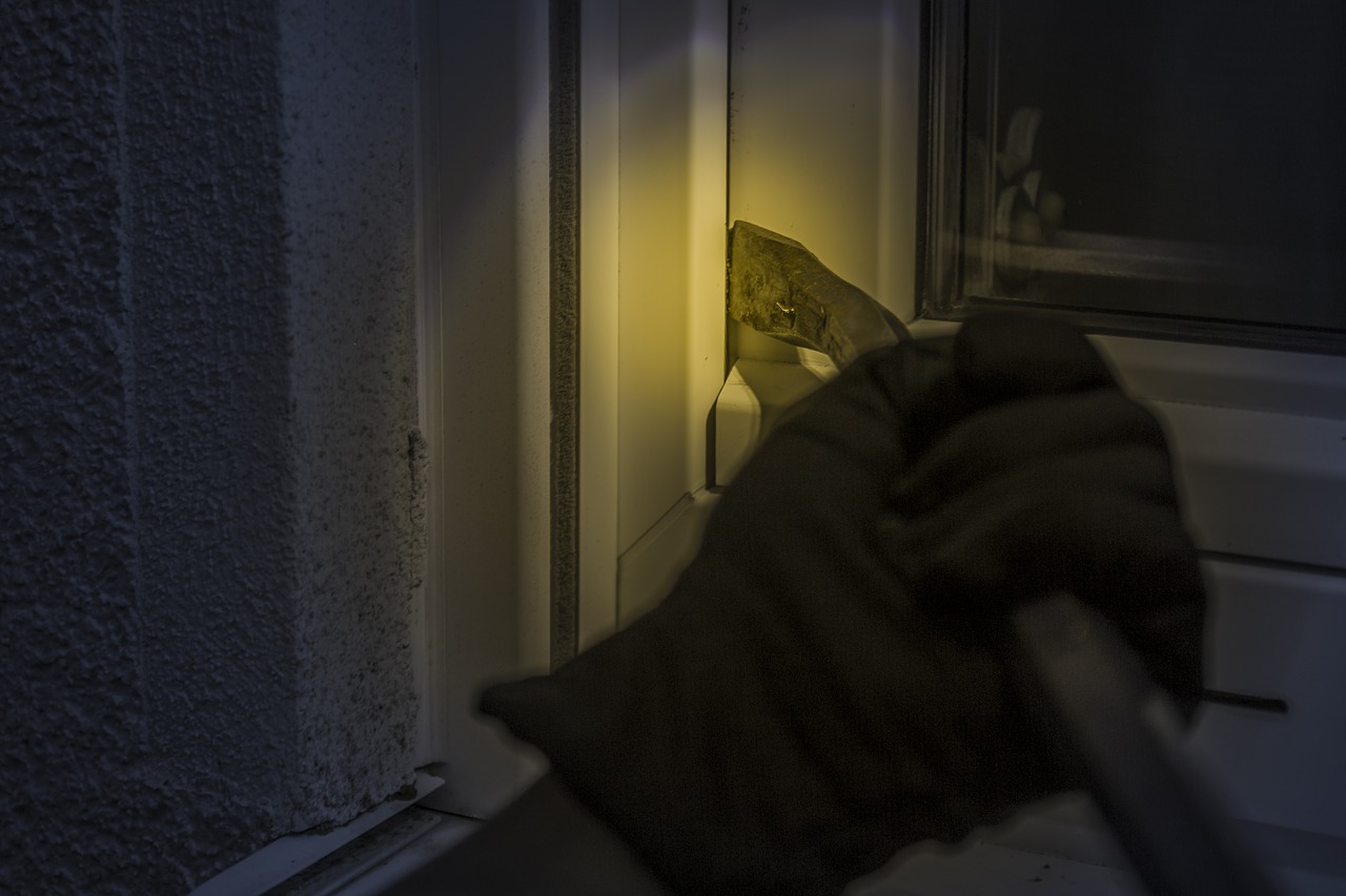 burglar at night window free photo