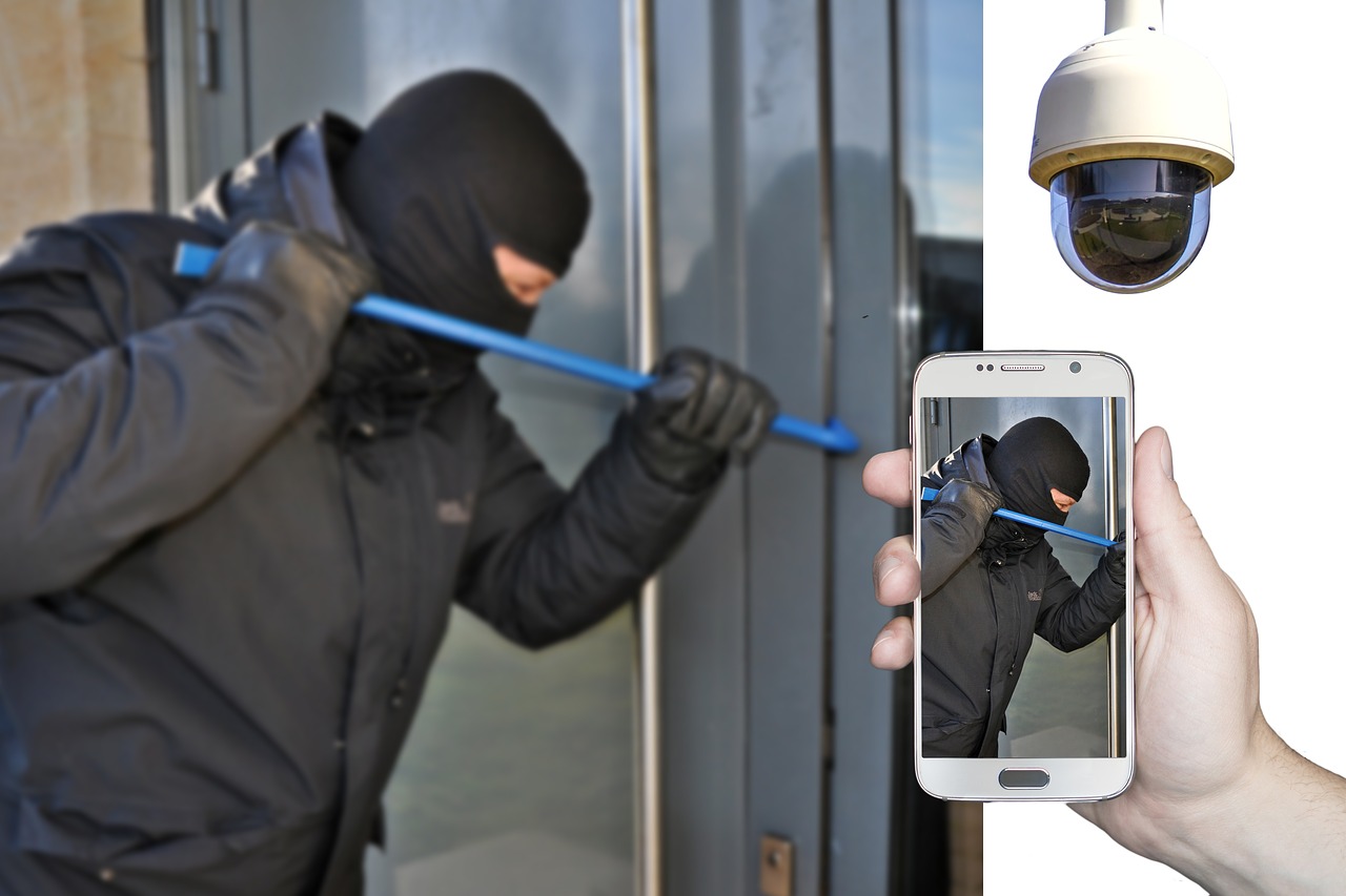 burglar  burglary  surveillance camera free photo