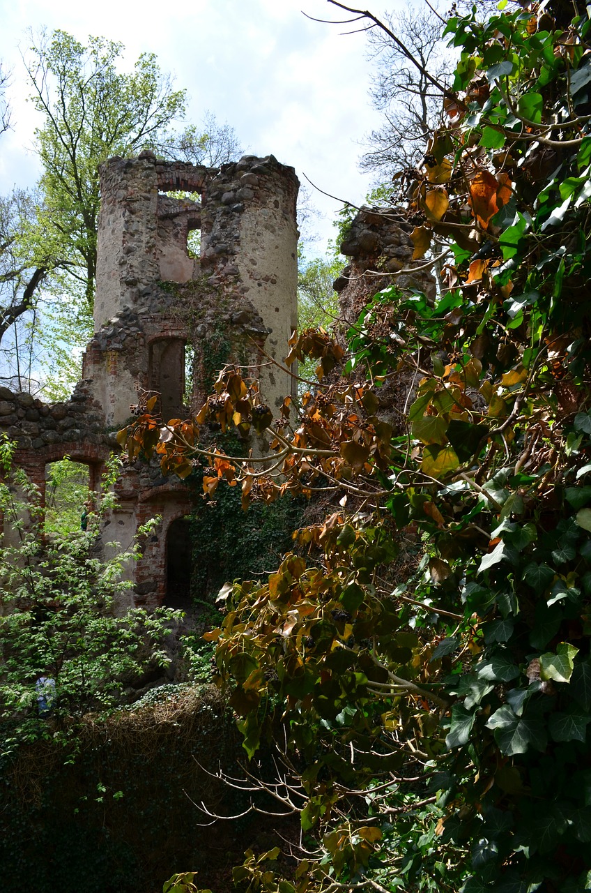 burgruine castle ruin free photo