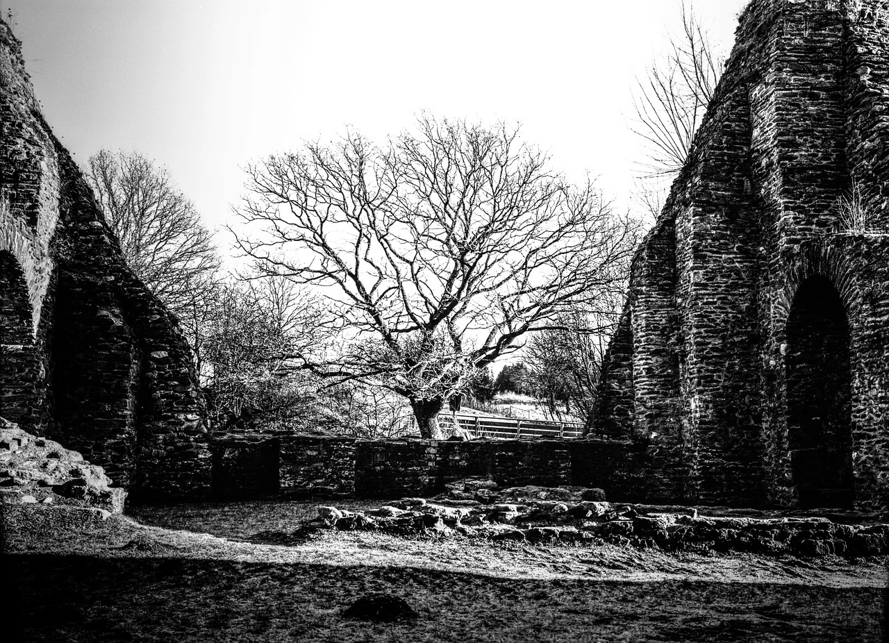 burgruine baldenau ort morbach in hunrück middle ages free photo