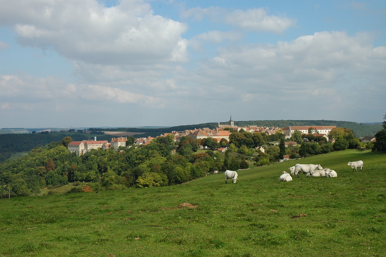 burgundy france village free photo