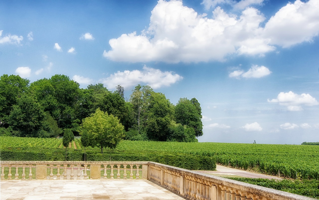 burgundy france vineyard free photo
