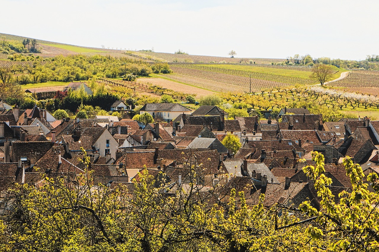 burgundy irancy wines free photo