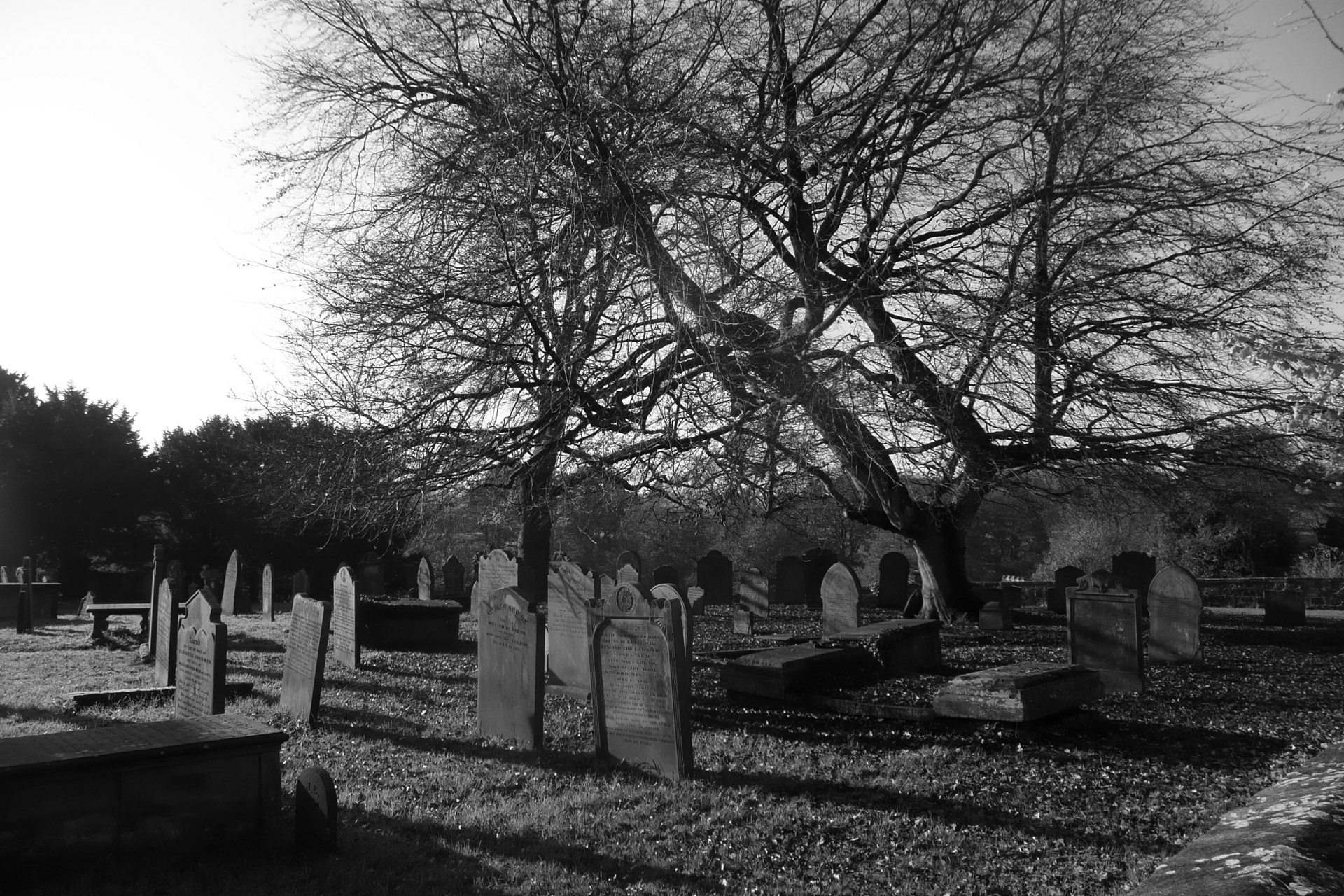 cemetery graveyard churchyard free photo